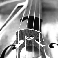 Victoria Music webshop