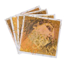 Bőgőhúr Pirastro Evah Pirazzi SLAP készlet -alu + króm