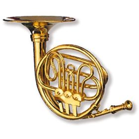 Mágnes, kürt alakú