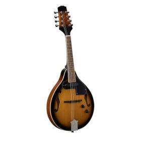 Bluegrass mandolin, (luc fedlap) tartozék puhatokkal