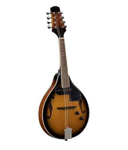 Bluegrass mandolin, (luc fedlap) tartozék puhatokkal