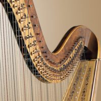 Bow Brand hárfahúrok