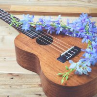 Ukulele, egyéb pengetős hangszer
