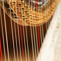 Pirastro hárfahúrok